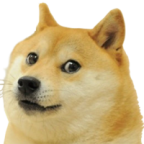 doge's Avatar